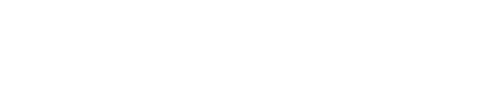 b-lnsight